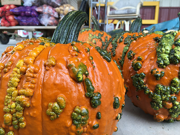 produce:fruitloupe:farms-584