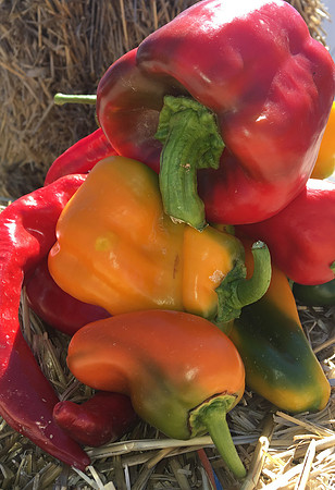 produce:fruitloupe:farms-543