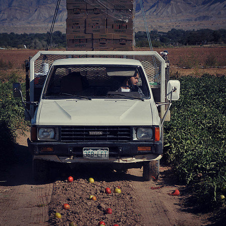 produce:fruitloupe:farms-557