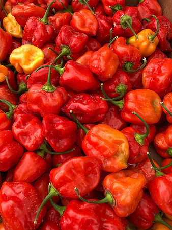produce:fruitloupe:farms-422