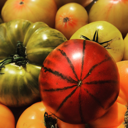 produce:fruitloupe:farms-620