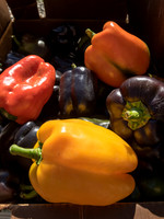 produce:fruitloupe:farms-409