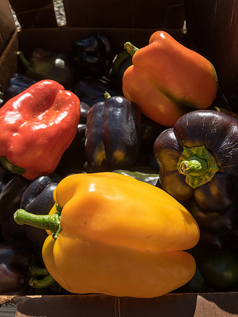 produce:fruitloupe:farms-409