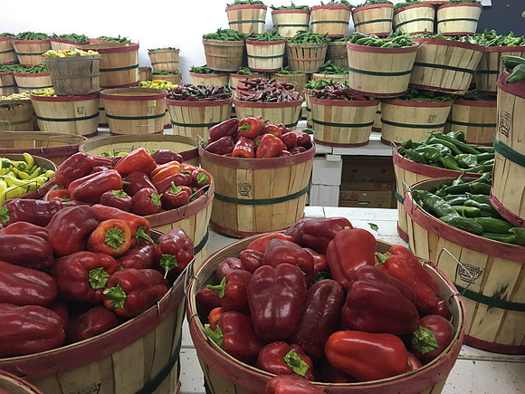 produce:fruitloupe:farms-541