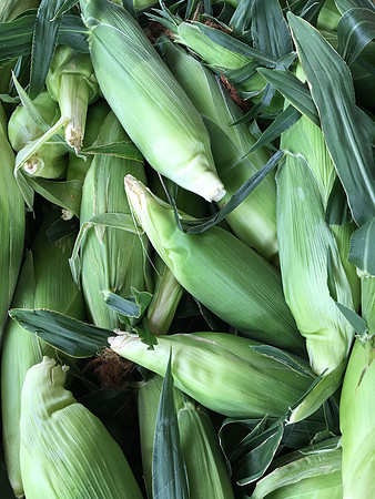produce:fruitloupe:farms-582