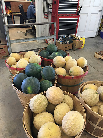 produce:fruitloupe:farms-596