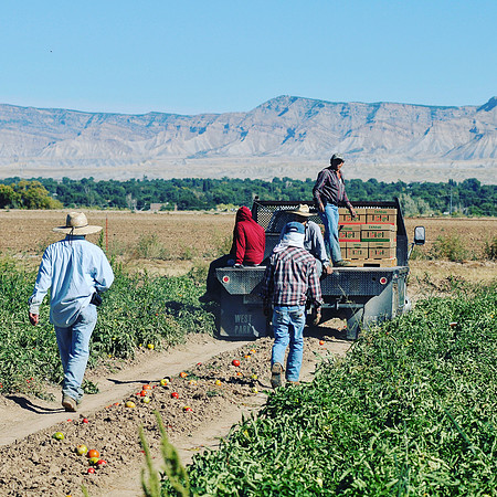 produce:fruitloupe:farms-558