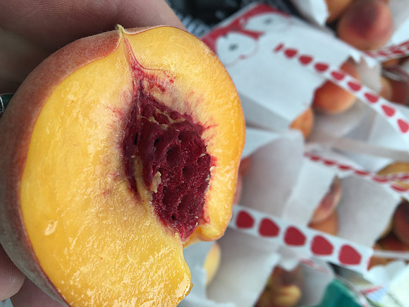 produce:fruitloupe:farms-564