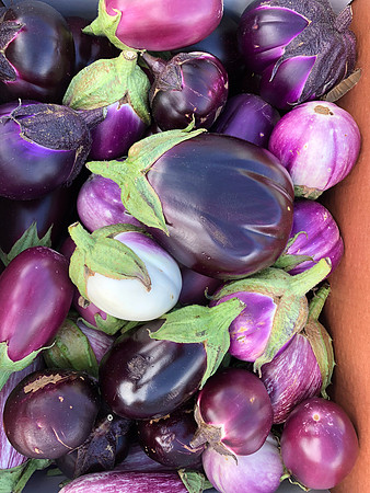 produce:fruitloupe:farms-438