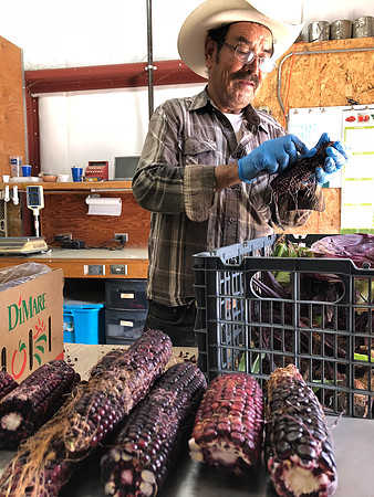 produce:fruitloupe:farms-439