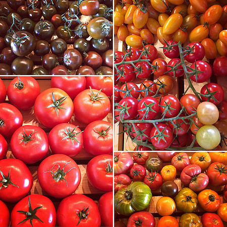 produce:fruitloupe:farms-571
