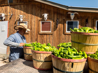 produce:fruitloupe:farms-413