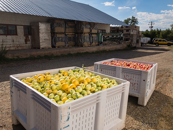 produce:fruitloupe:farms-407