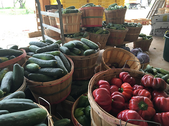 produce:fruitloupe:farms-610