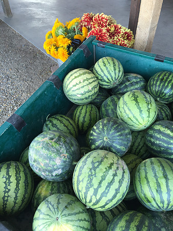 produce:fruitloupe:farms-572