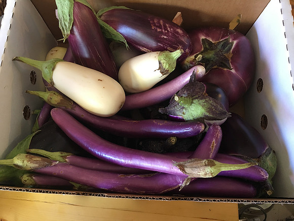 produce:fruitloupe:farms-566