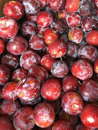 produce:fruitloupe:farms-599