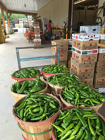 produce:fruitloupe:farms-614