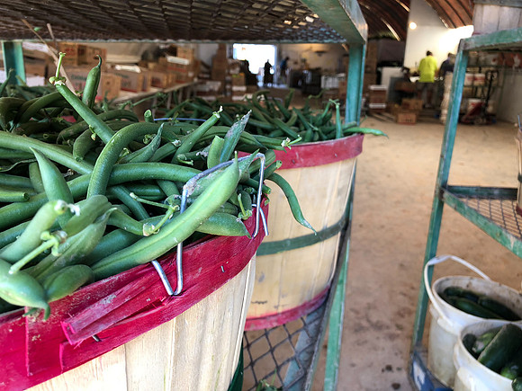 produce:fruitloupe:farms-417