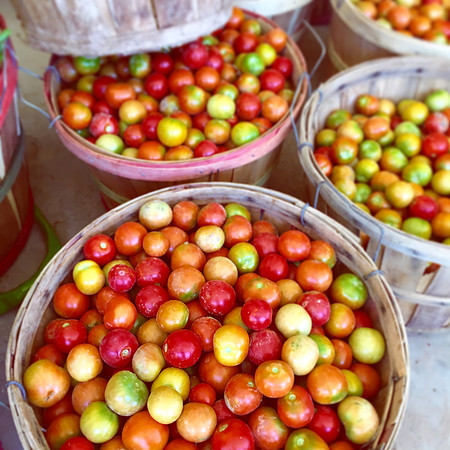 produce:fruitloupe:farms-588