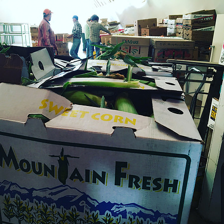 produce:fruitloupe:farms-575