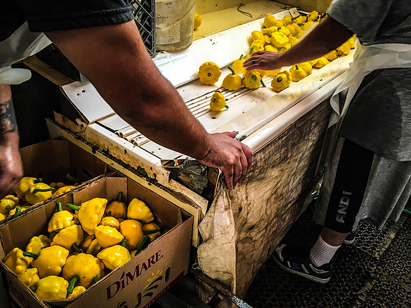produce:fruitloupe:farms-398
