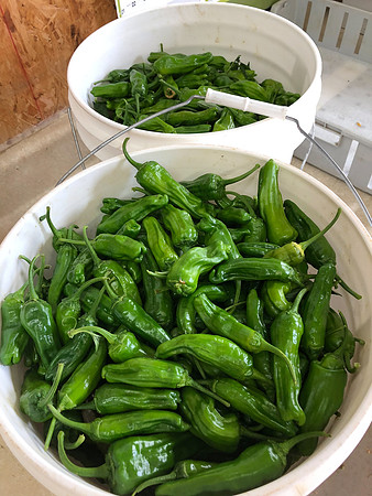 produce:fruitloupe:farms-428