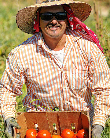 produce:fruitloupe:farms-548