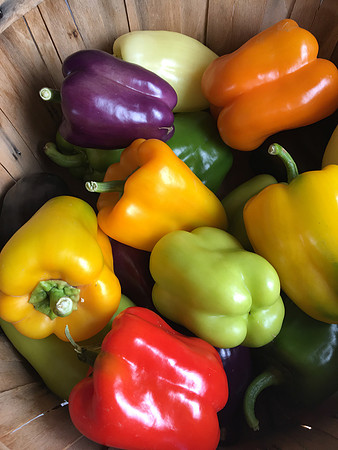 produce:fruitloupe:farms-560