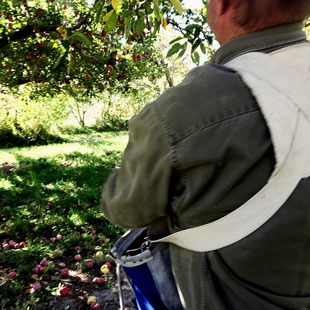 produce:fruitloupe:farms-513