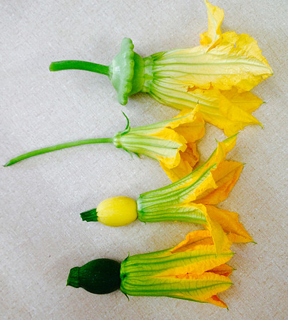 produce:fruitloupe:farms-671