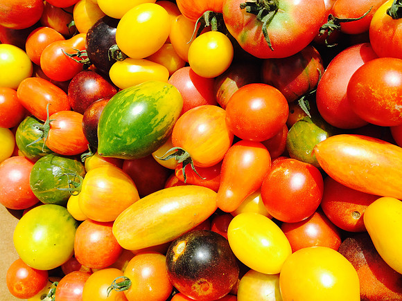produce:fruitloupe:farms-658