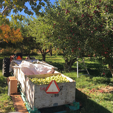 produce:fruitloupe:farms-512