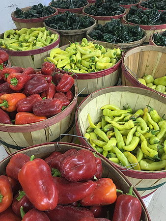 produce:fruitloupe:farms-538