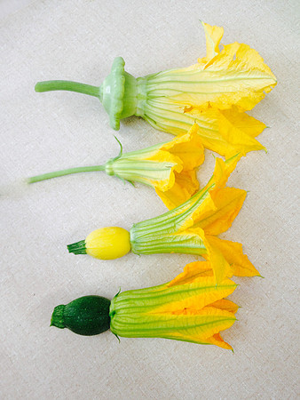 produce:fruitloupe:farms-672