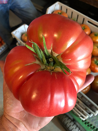 produce:fruitloupe:farms-464