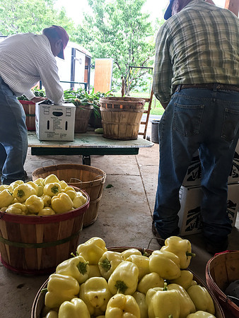 produce:fruitloupe:farms-505
