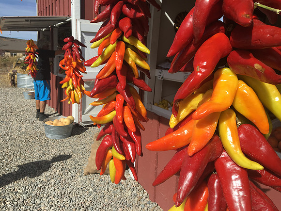 produce:fruitloupe:farms-511