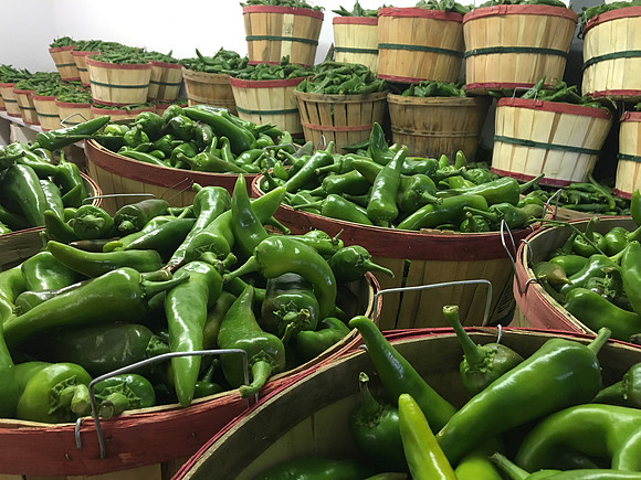 produce:fruitloupe:farms-539