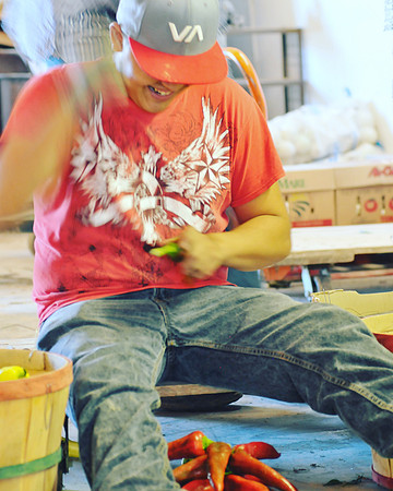 produce:fruitloupe:farms-515