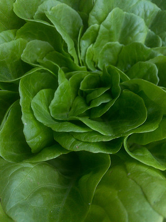 produce:fruitloupe:farms-501