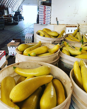 produce:fruitloupe:farms-449