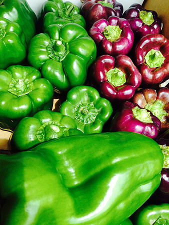 produce:fruitloupe:farms-662