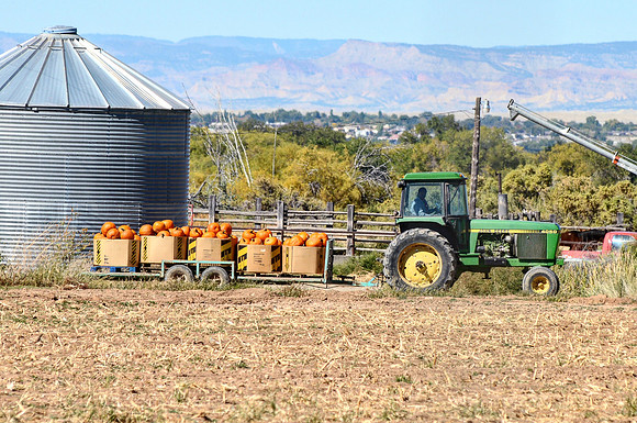 produce:fruitloupe:farms-514