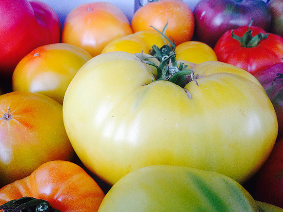 produce:fruitloupe:farms-648
