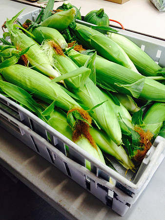 produce:fruitloupe:farms-661