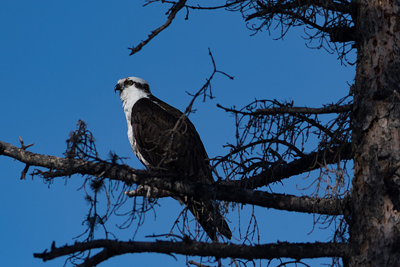 2019_05_02_untitled shoot_00839