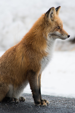 2019_10_21_untitled shoot_00347