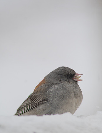2020_04_13_untitled shoot_00128