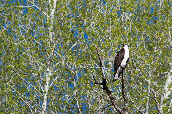 2020_05_13_untitled shoot_00197